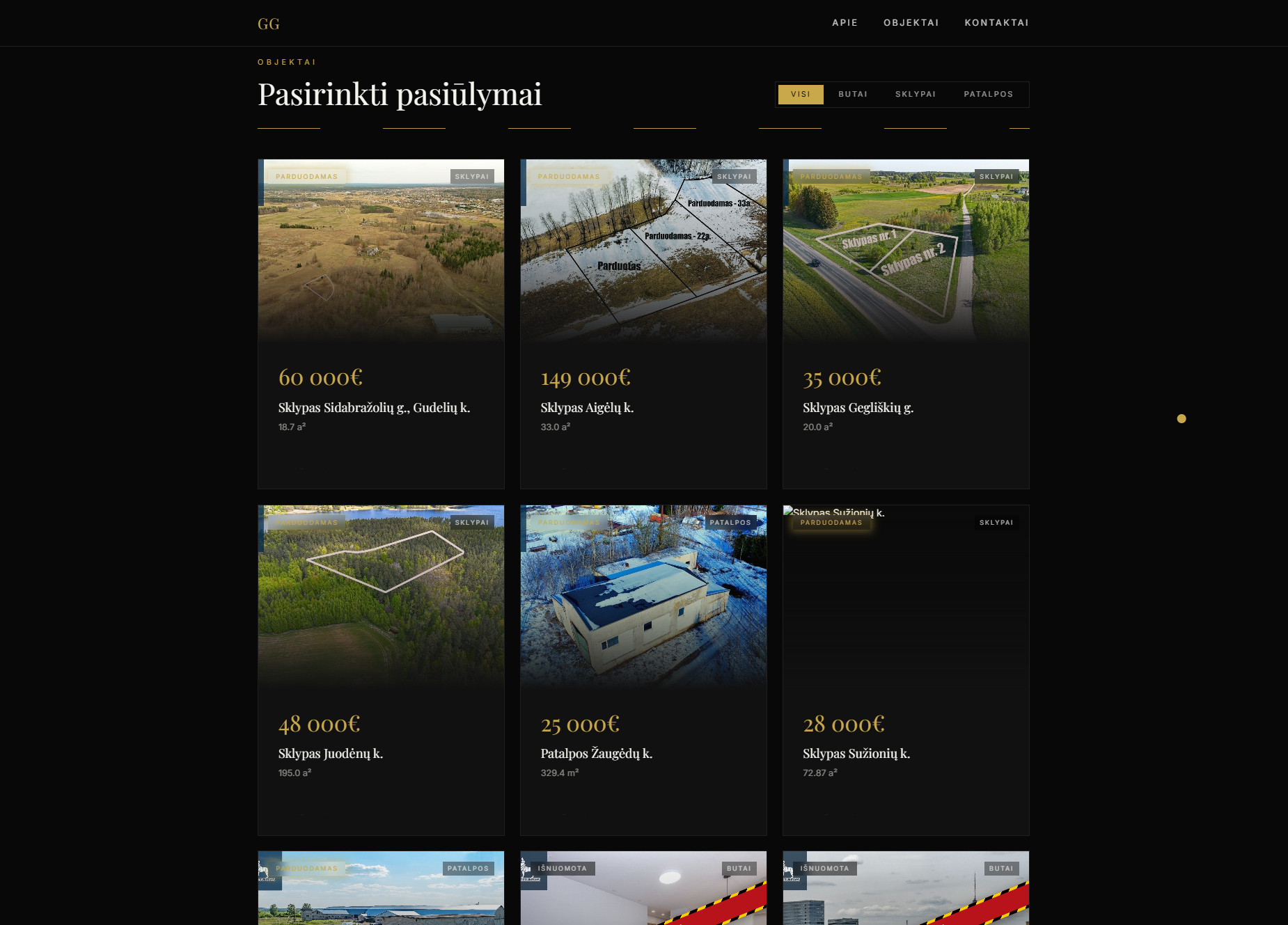 Vizijų Dirbtuvės ekrano vaizdas 3